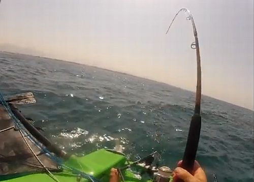 VIDEO: Trimaran fishing